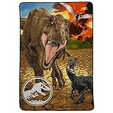 Universal Jurassic World: Fallen Kingdom Blanket, Micro Raschel Twin Size Bedspread, Epic Escape