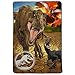Universal Jurassic World Fallen Kingdom Ultra Soft Plush Microfiber Blanket Twin/64