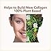 PlantFusion Vegan Collagen Powder - Plant Based Collagen Protein Powder For Muscle & Joints, Hair, Skin & Nails - Keto, Gluten Free, Soy Free, Non-Dairy, No Sugar, Non-GMO - Unflavored 10.58 oz