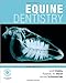 Equine Dentistry