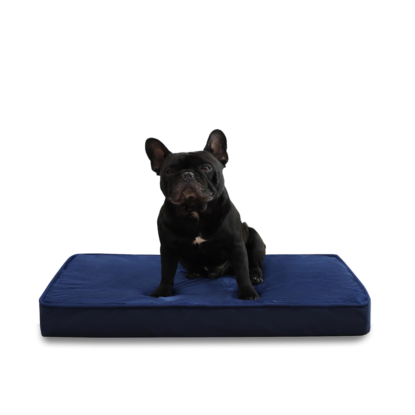 Jaspuriea Small Dog Beds Washable with Waterproof Removable Cover, Orthopedic Dog Bed with Anti-Slip Bottom, Deluxe Flannel Comfy Dog Crate Mattress, Blue, 60x45x9cm