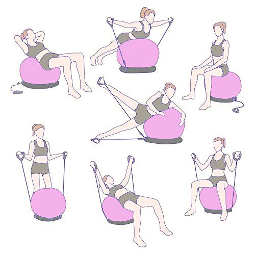 Timberbrother Exercise Ball Chair with Workout Poster Yoga Ball Chair