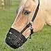 Cashel Horse Grazing Muzzle Halter - All Sizes