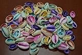 100 Pcs Dyed Bulk Cut Sea Shell Beads Cowrie