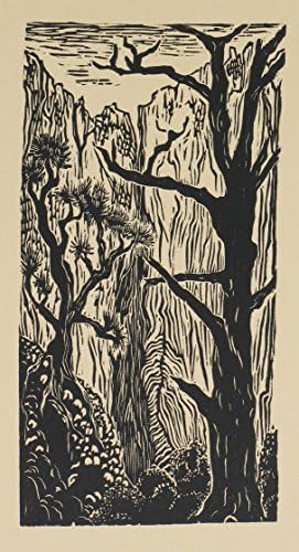 Original Woodcut Into the Canyon Zion National Park Southwest Landscape