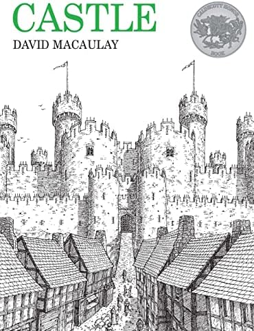 Amazon.com: Unbuilding: 9780395294574: MacAulay, David: Books