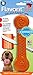 Pet Qwerks Flavorit Nylon Chew BarkBone - Fillable Dog Bone for Moderate Chewers - Sweet Potato - XL