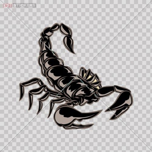 Decal Scorpion Car Window Wall Art Decor Doors Helmet Truck Motorcycle Note Book Size: 5 X 4.7 Inches Vinyl color print