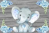 AOFOTO 5x3ft Cute Baby Elephant Backdrop Baby Shower Party Decoration Photography Background Sweet Watercolor Flower Cartoon Animal Photo Studio Props Newborn Infant Girl Kid Boy Child Birthday Banner