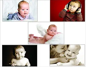 Paper Plane Design Posters (Paper, 35 cm X 0.5 cm X 65 cm, Set of 5, Com010)