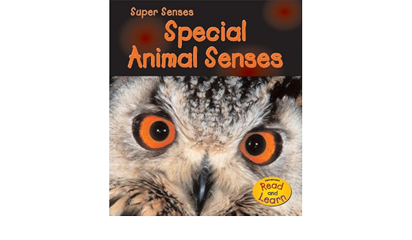 Amazon Com Special Animal Senses Super Senses 9781403473783 Mackill Mary Books