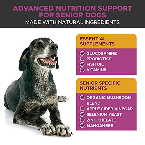 vitamins for aging dogs
