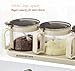 TENTA TENTA KITCHEN Gourmet Seasoning Box with Serving Spoons, Spice Jar Set Condiment Cruet Bottle, Kitchen Supplies,Nice Design for Kitchen (glass)