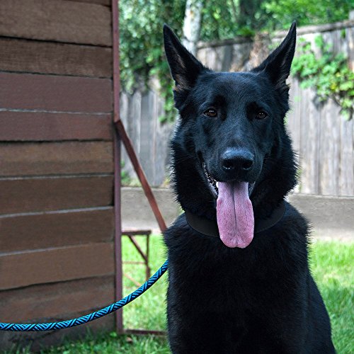 image for BronzeDog Dog Slip Lead 4ft Pet Rope Training Leash for Medium Large D