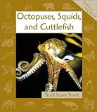 Octopuses, Squids, and Cuttlefish (Animals in Order)
