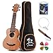Donner Soprano Ukulele Beginner Kit Mahogany Professional 21 inch Ukelele Online Lesson Gig Bag Strap Nylon String Tuner Picks Cloth DUS-1 Ukalalee Set