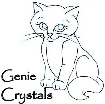 Genie Crystals Generic Washable Cat Litter Replacement Granules 10 lbs