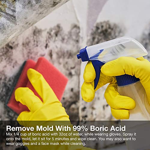 5 PURE+BORIC+ACID+Orthoboric+Boracic