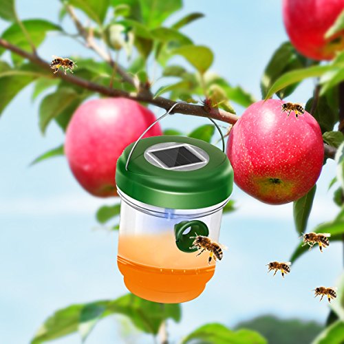 FITMAKER Wasp Trap Catcher, Life Outdoor Solar Powered Ultraviolet LED Light, Perfect for Wasps, Bees, Yellow Jackets, Hornets, Bugs, Fly and More