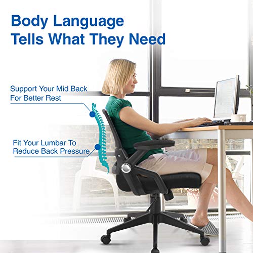 ZLHECTO Ergonomic Office Chair, Mid Back Computer Desk Chairs with