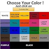 NFL Oakland Raiders Color Team Logo Car Decal