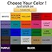 NFL Oakland Raiders Color Team Logo Car Decal
