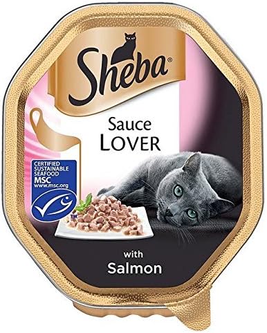 effects of benadryl on dogs