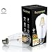 FluxSmart 8W Dimmable Edison Style Vintage LED Filament Light Bulb, 2700K Warm White, 800 Lumen, E26 Base ST21/ST64 Lamp, 60W Incandescent Bulb Equivalent (8 Watts)
