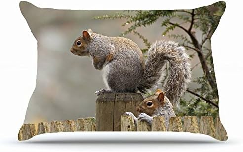 Queen Pillowcase Size 20 x 30 Inches Cotton Pillowcases Decorative Pillow Cover with Hidden Zipper Decor Cushion Covers - Animals squirrels proteins fence For Indoor