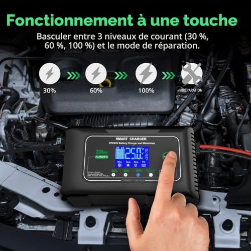 Haisito Car Battery Charger 12 V/24 V 25 A, Fast Intelligent Car and Motorcycle Battery Charger, Portable Charger and Maintainer of Lithium Battery, LiFePO4, Lead (AGM, EFB, Gel, MF, VRLA, etc.)