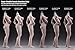 Phicen 1/6 Muscular Female Seamless Body Super Flexible Figure PLMB2017-S23B