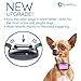 GoodBoy Small Rechargeable Dog Bark Collar for Tiny to Medium Dogs Waterproof and Vibrating Anti Bark Training Device That is Smallest & Most Safe On Amazon - No Shock No Spiky Prongs! (6+ lbs)