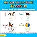 My First Persian (Farsi) Alphabets Picture Book with English Translations: Bilingual Early Learning & Easy Teaching Persian (Farsi) Books for Kids ... for Children) (Volume 1) (Persian Edition) by Esta S.