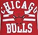 Ultra Game NBA Chicago Bulls Womens Box Out Varsity Stripe Tee Shirt, Team Color, Medium