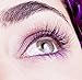 Eyelash Extensions Vol. 2 - The Best Eyelash Extensions Training - Learn How To Apply Eyelash Extensions - Comprehensive Lash Extensions Training
