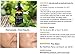 Hyaluronic Acid Serum for Face with Vitamin C - Pure and Natural Face Serum - Anti Aging Serum - Anti Wrinkle Serum - Hyaluronic Acid with Vit C Serum - 1fl.oz / 30ml