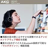 AKG Y500