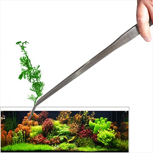 DXOBAY 18.9-inch Stainless Steel Tweezers