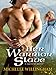 Her Warrior Slave (MacEgan Brothers series Book 1)
