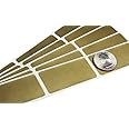 1 x 2 Inch Gold Rectangle Scratch Off Sticker Labels Lottery Raffle Ticket DIY 100 Pack My Scratch Offs