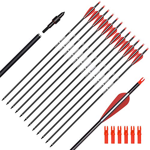 thumbnail image 2 of AMEYXGS Archery Carbon Arrows For Compound & Recurve Bows, 30 Inch Hunting Practice Arrows 12 Pack 5afdd454 Bf44 4d2c 80c9 F76769b27562.fc1bce61ef811fa3029dc4ece260966b 2 of 13