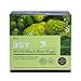 BSY Noni Black Hair Magic Hair Dye Shampoo, 12 ml - Pack of 24 Sachets
