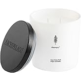 Archipelago Botanicals Aspen Luxe Candle, Aspen Bark, Amber and Musk Scent, Elegant White Glass Jar Candle, Coconut Wax, Double Wicks Burn 100 Hours (13 oz)