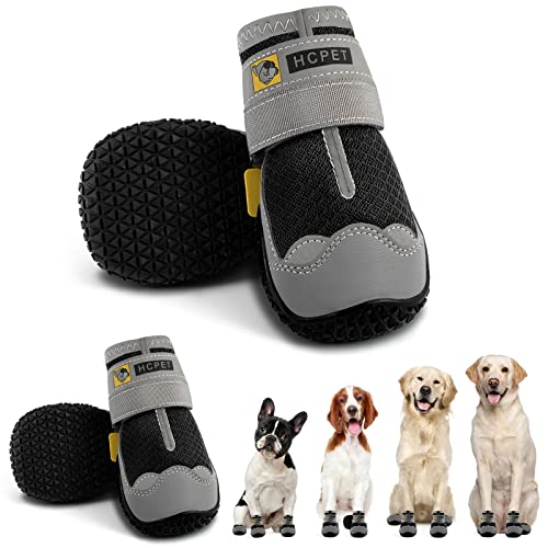 The Best Dog Booties Dogtime