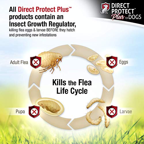 Direct Protect Plus Flea & Tick Collars for Dogs & Puppies - Thumbnail 4