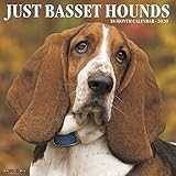 Just Basset Hounds 2020 Wall Calendar (Dog Breed Calendar) by 