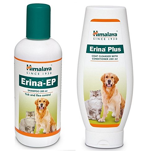 erina shampoo
