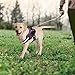Bolux Over Head Dog Harness, Easy On and Off Pet Vest Harness, Reflective Breathable and Easy Adjust Pet Halters with Nylon Handle for Small Medium Large Dogs, Red, S