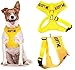 Dexil Limited Adopt ME (I Need A New Home) Yellow Color Coded Non-Pull Front and Back D Ring Padded and Waterproof Vest Dog Harness Prevents Accidents by Warning Others of Your Dog in Advance (S)