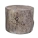 A&B Home Tree Stump Cement Stool One